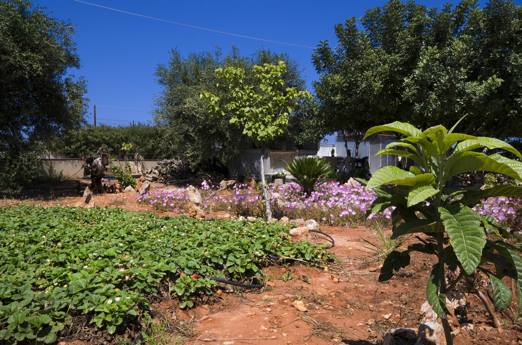 Stavrós Skamagkas G. Apartments מראה חיצוני תמונה