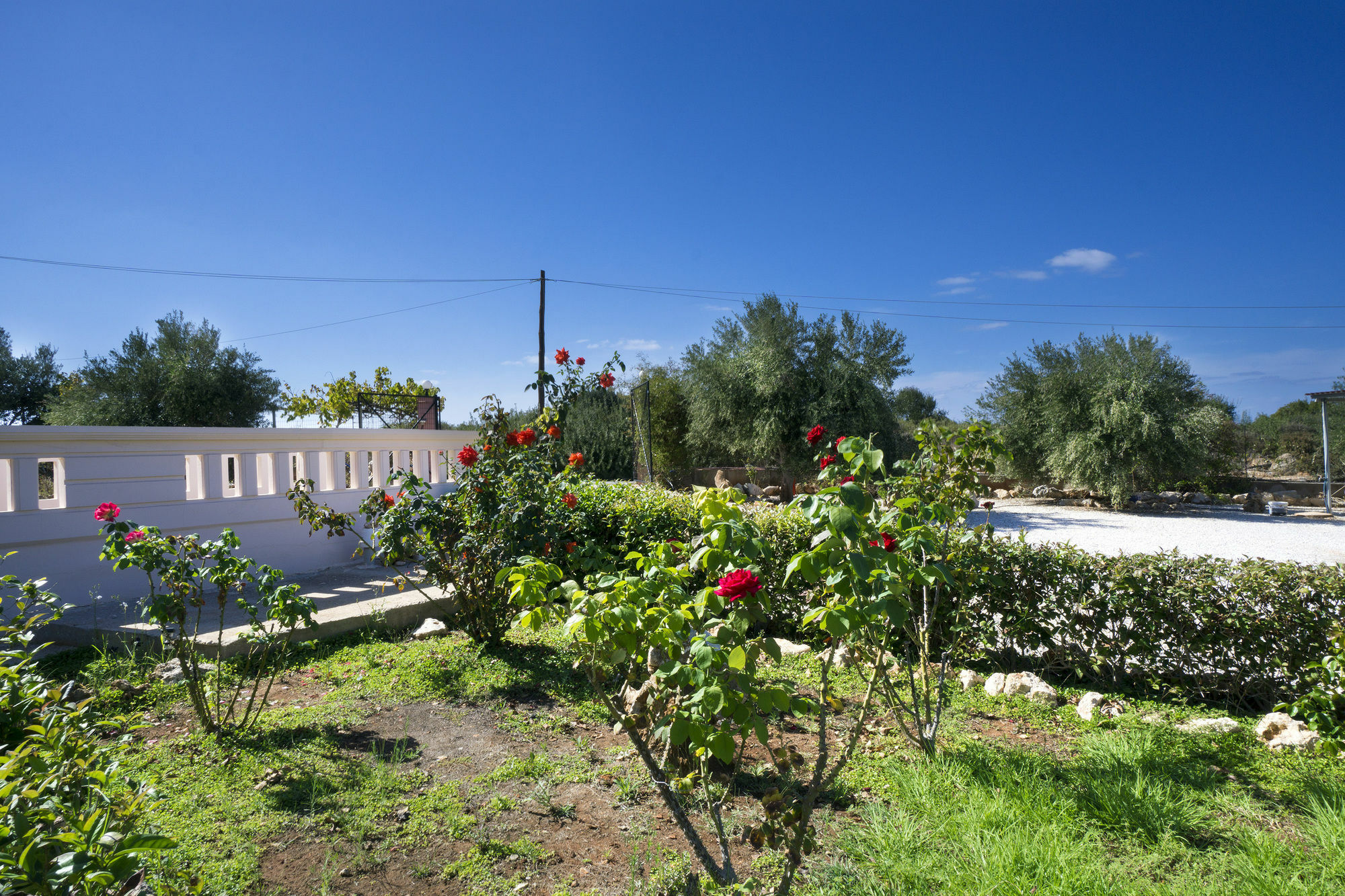 Stavrós Skamagkas G. Apartments מראה חיצוני תמונה